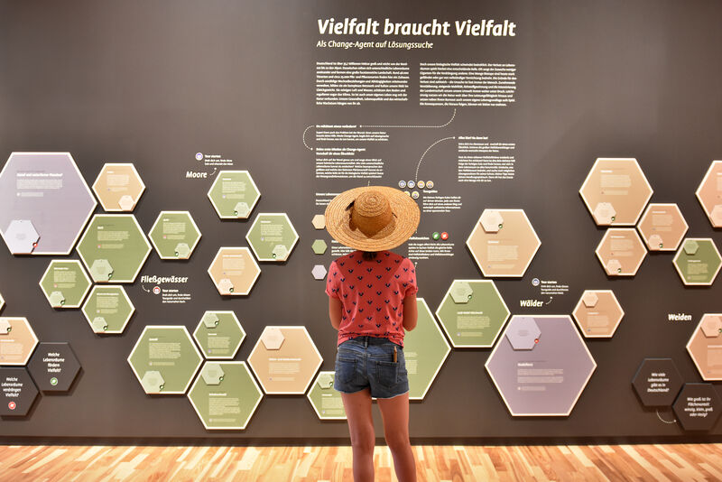 Kind mit Hut betrachtet Ausstellungswand im Natur-Erlebnishaus