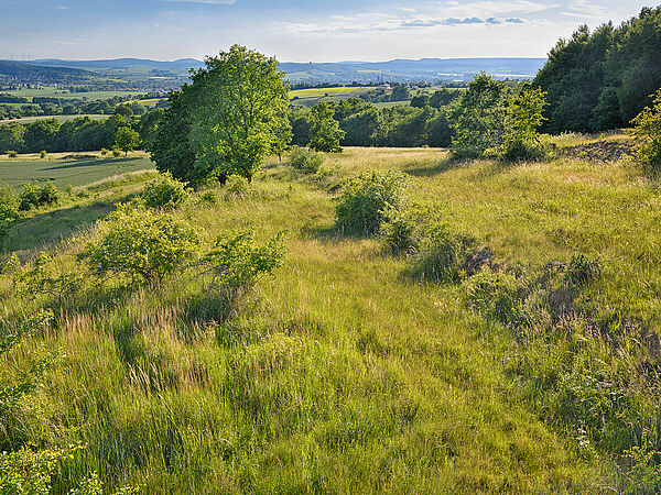 Eine Teilstrecke des Grünen Bandes verläuft auch durch Thüringen und wird unter anderem durch die Landschaftspflegeverbände betreut. Landschaftsaufnahme