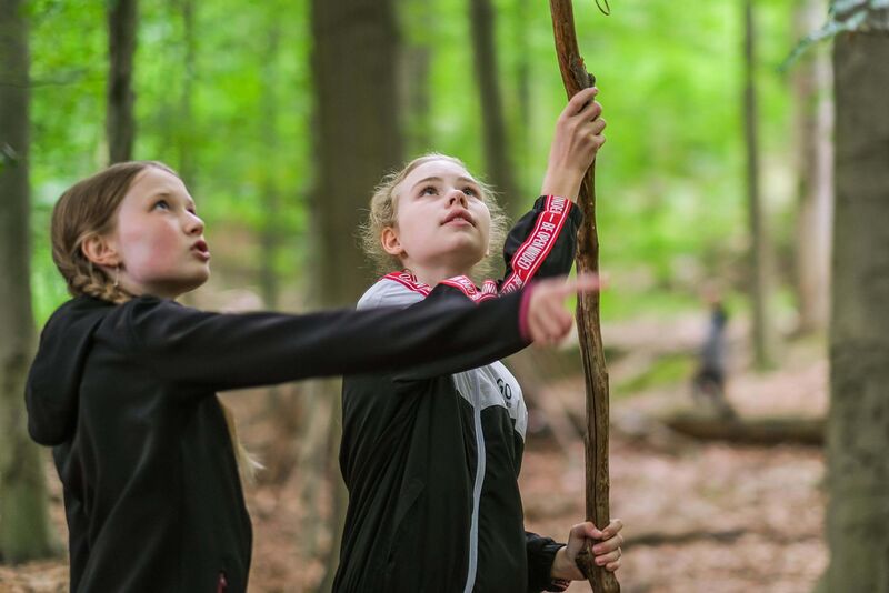 Zwei Mädchen im Wald bauen mit Ästen einen Unterschlupf