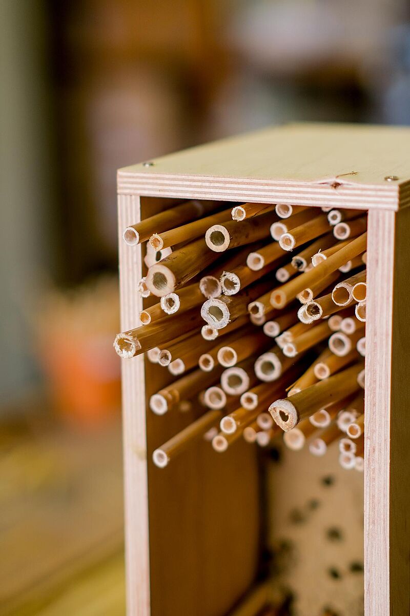 Detailansicht einer Wildbienen-Nisthilfe