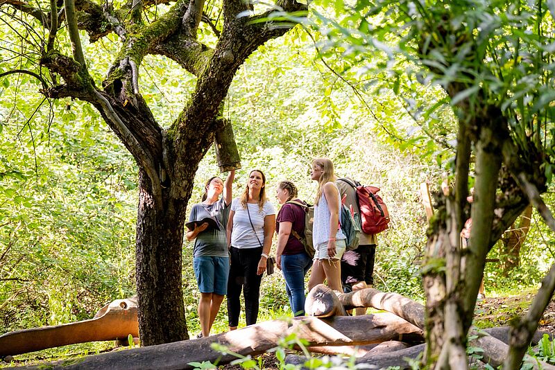 Personengruppe steht im sommerlichen Wald und betrachtet eine Nisthilfe