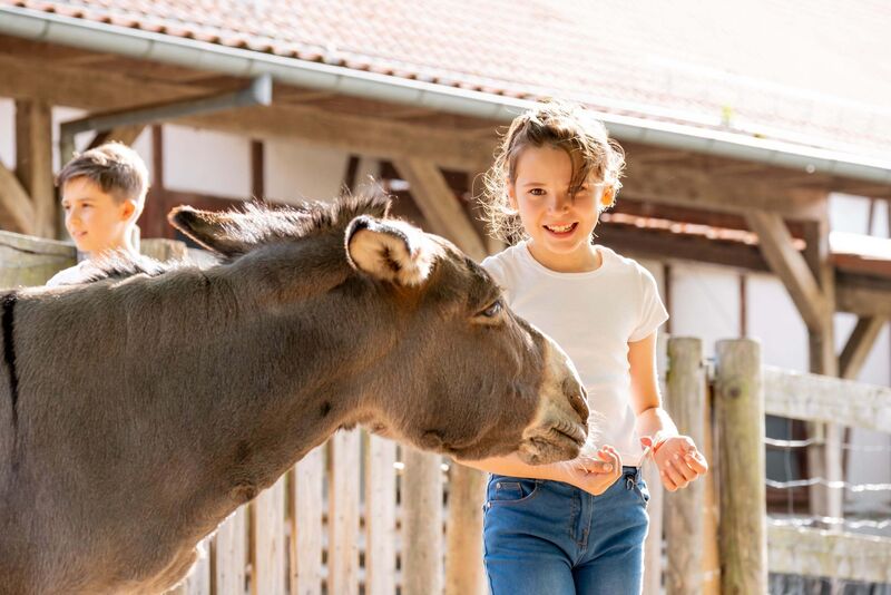 Mädchen füttert einen Esel und lächelt in die Kamera, im Hintergrund ein Stallgebäude