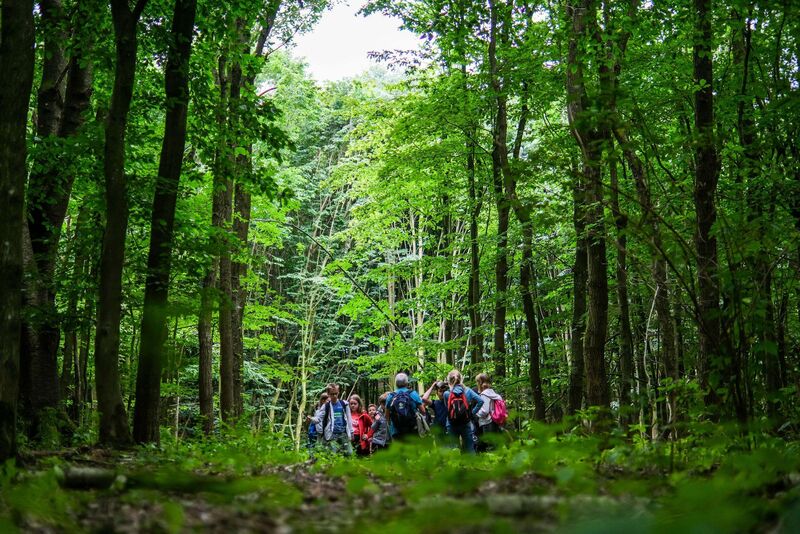 Dichter grüner Laubwald mit einer Gruppe Schüler:innen in der Mitte