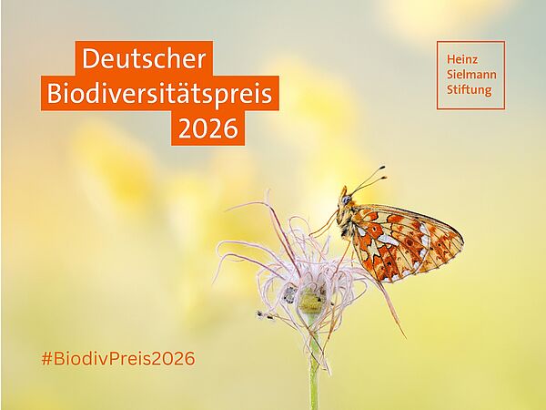 Silberfleck Perlmuttfalter auf Gewöhnlicher Kuhschelle und ein Logo Deutscher Biodiversitätspreis