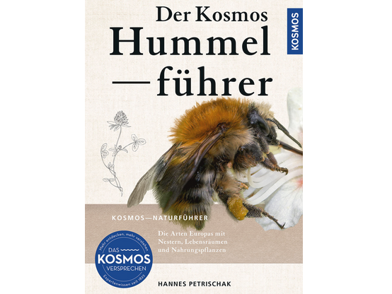 Hummelführer Buch mit einer Hummel auf dem Titel