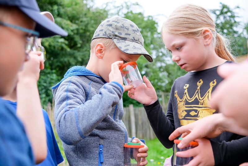 Mehrere Kinder draußen, zwei schauen in eine Becherlupe mit einem Insekt