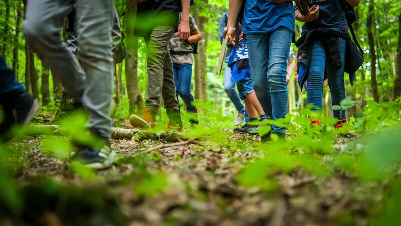 Blick aus der Froschperspektive eines Waldbodens auf laufende Personen, man sieht nur die Beine